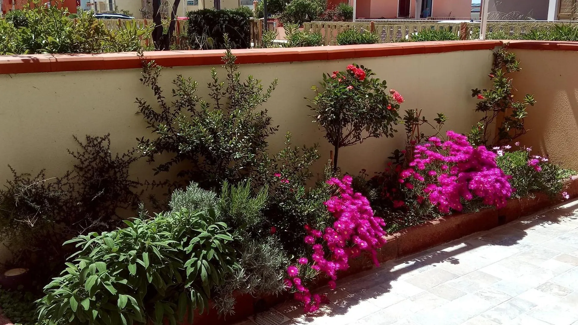 Appartamento Con Veranda E Giardino A 75 M Dal Mare Castelsardo